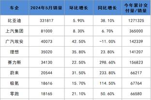 开云vip等级